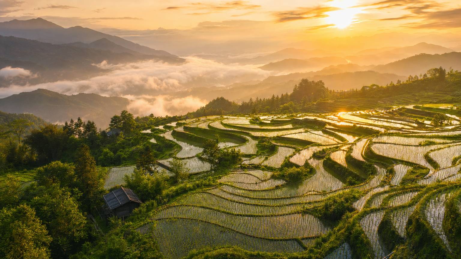 平台旅行吃瓜热点